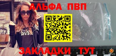 гашик Боровичи