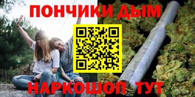 гашик Боровичи