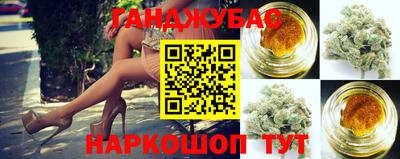 гашик Боровичи